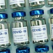 Vaccino Covid 19 l'immunità dura più di 6 mesi grazie alle cellule T - UniGe