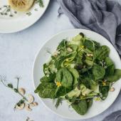 Green Food Week - UniGe