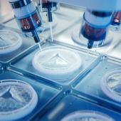 advanced functional materials