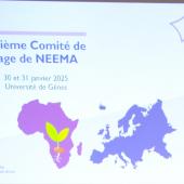 Slide di apertura - Convegno NEEMA
