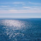 mare