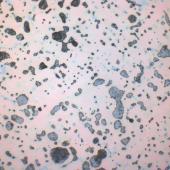 micrografia di un bronzo