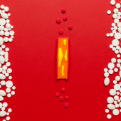 Livia Pisciotta nel consiglio direttivo nazionale della SISA