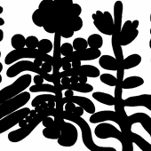 grafica per convegno "Different Differentiations"