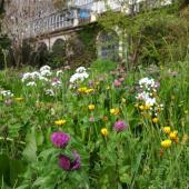 festival biodiversità verde ovunque