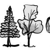 alberi_stilizzati