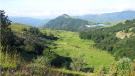 Moglie Mezane - Moglia delle Artue (Alta Valle Sturla, Borzonasca, GE)