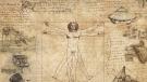 Disegni di Leonardo da Vinci - UnIGe