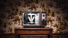 Rai tv