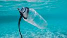plastica in mare - progetto Plastron