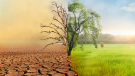 dati osservatorio meteo estate 2025