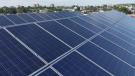 pennelli_fotovoltaici