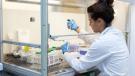 farmacia e CTF